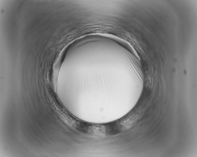 X0000085830317200704091704