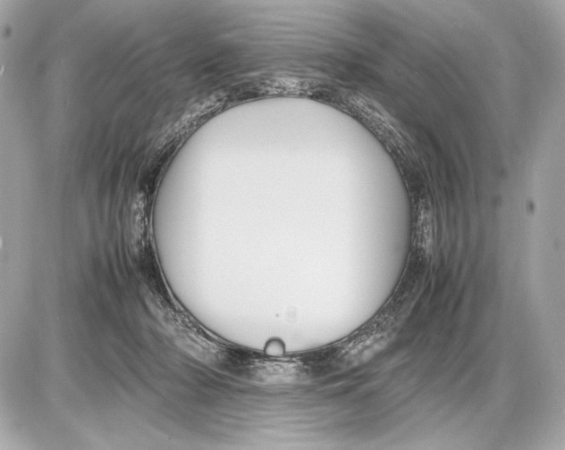 X0000085830318200704091704