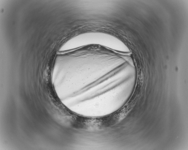 X0000085830319200704091704