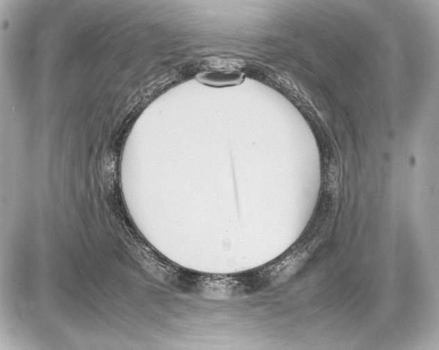 X0000085830321200704091704