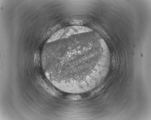 X0000085830322200704091704