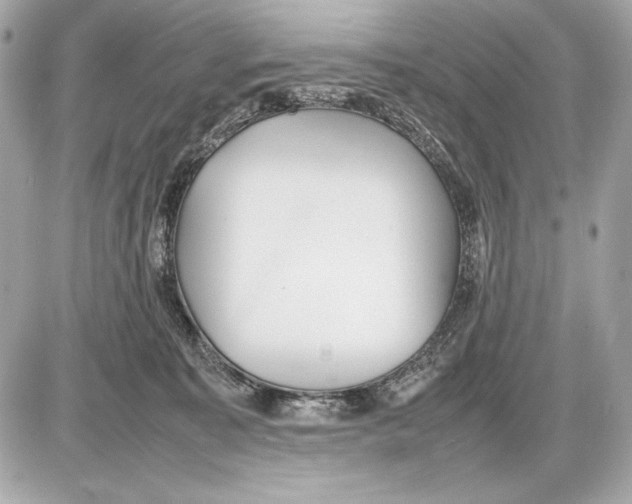 X0000085830323200704091704