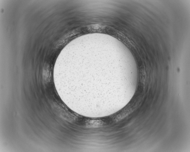X0000085830324200704091704