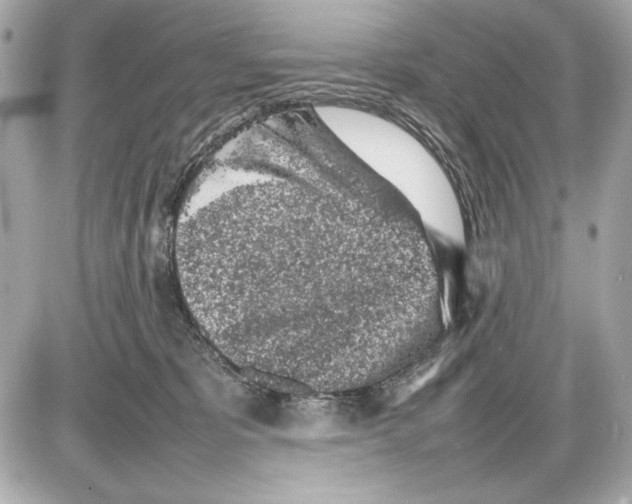 X0000085830325200704091704