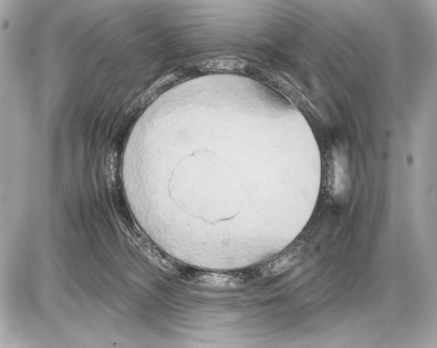 X0000085830326200704091704