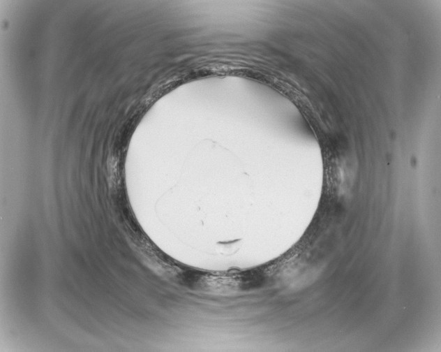 X0000085830327200704091704
