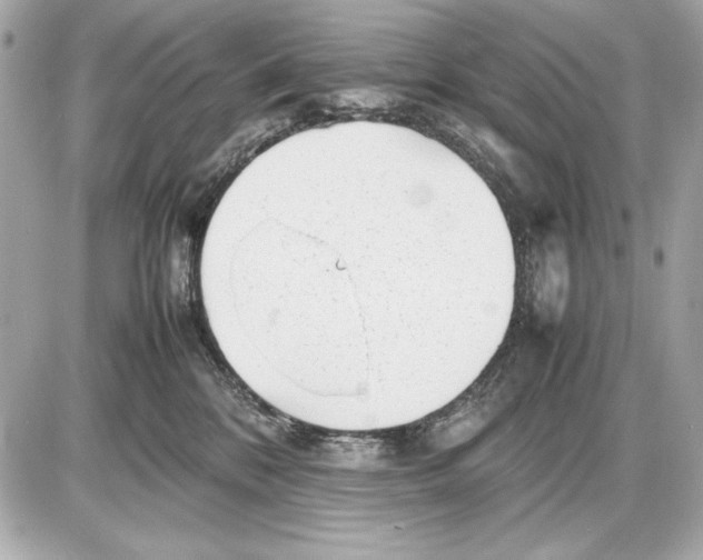 X0000085830328200704091704