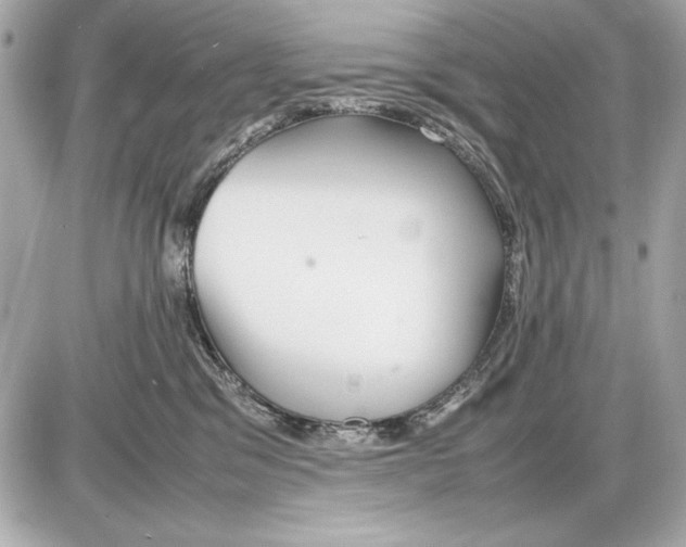 X0000085830329200704091704