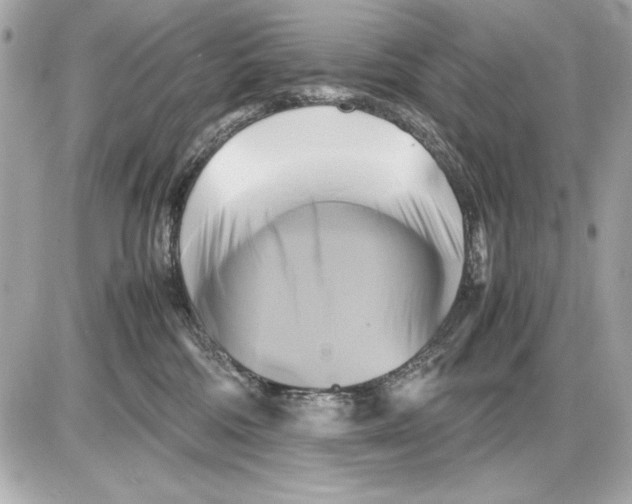 X0000085830330200704091704