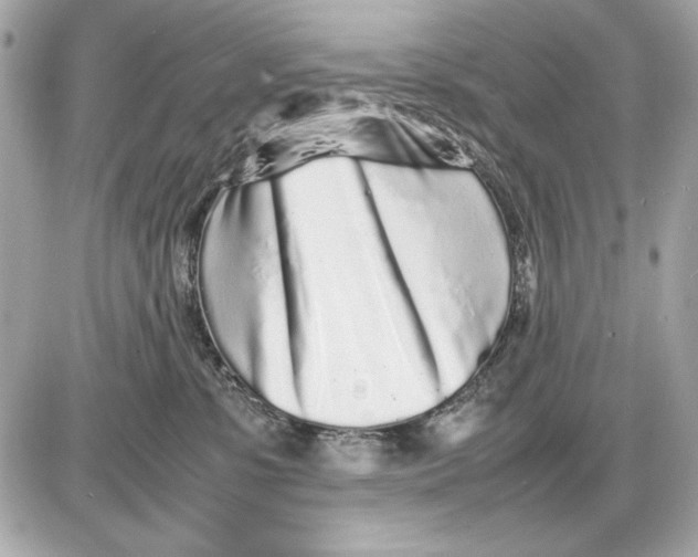 X0000085830331200704091704