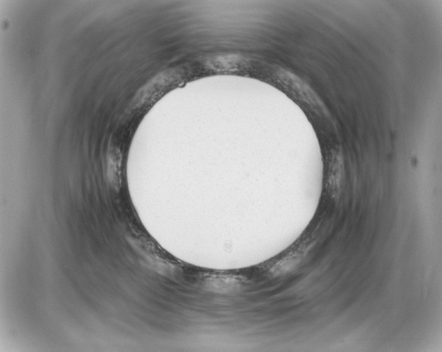 X0000085830332200704091704