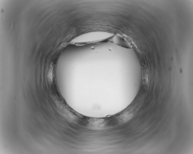 X0000085830334200704091704