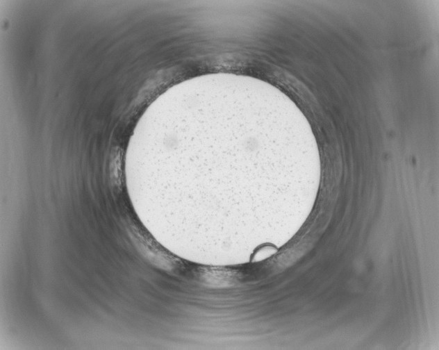 X0000085830336200704091704