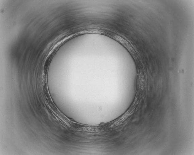 X0000085830338200704091703