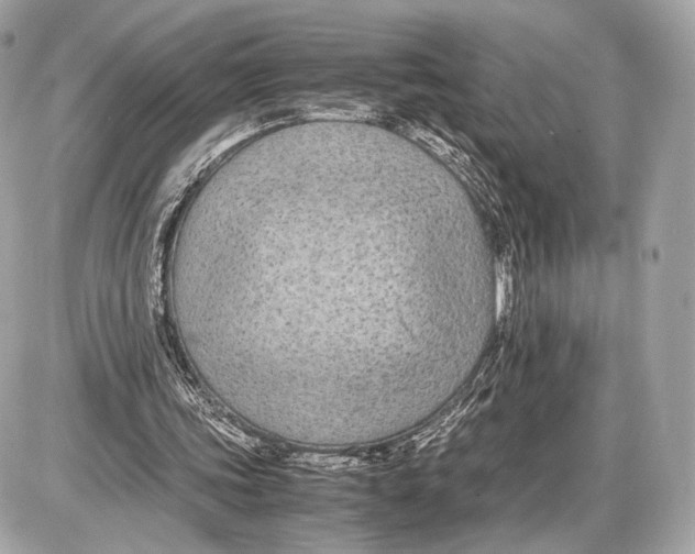 X0000085830339200704091703