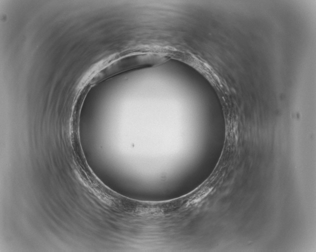 X0000085830340200704091703