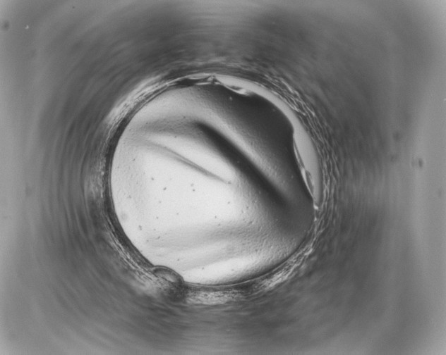 X0000085830341200704091703