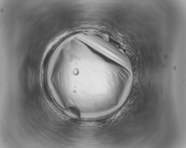 X0000085830342200704091703