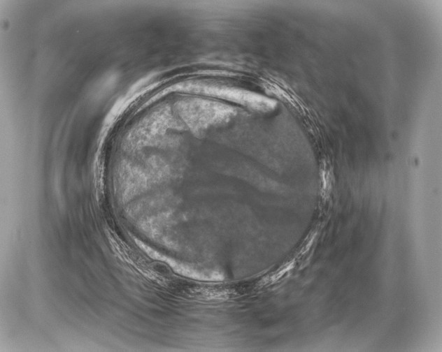 X0000085830343200704091703