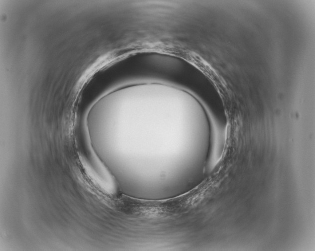 X0000085830344200704091703