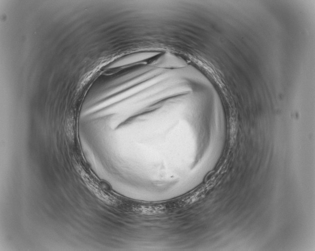 X0000085830345200704091703