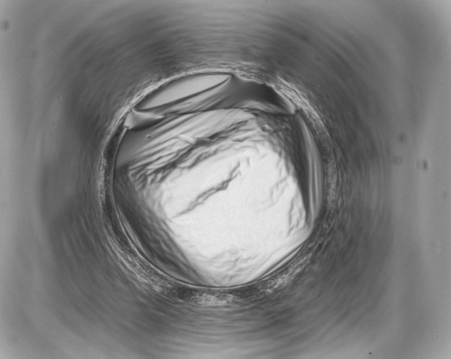 X0000085830346200704091703