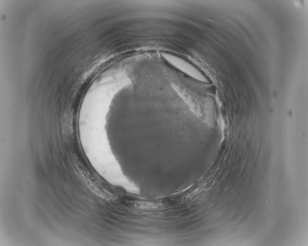 X0000085830347200704091703