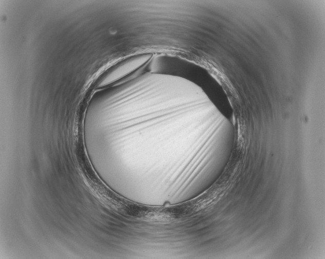 X0000085830348200704091703