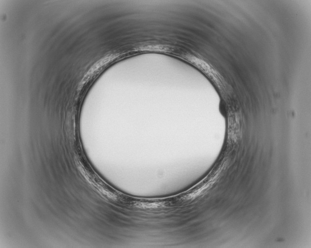 X0000085830349200704091703