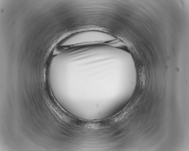 X0000085830350200704091703