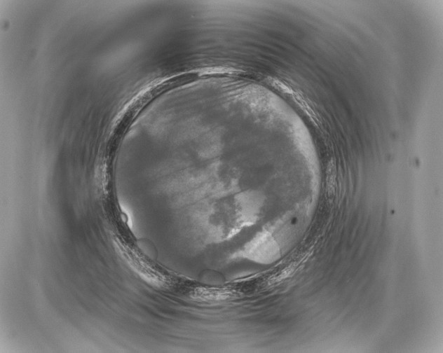 X0000085830351200704091703