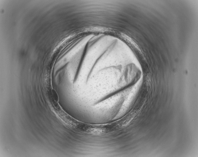 X0000085830352200704091703