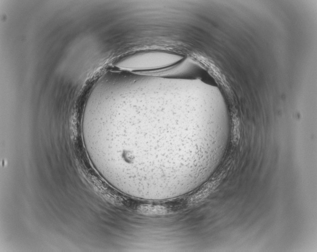 X0000085830354200704091704