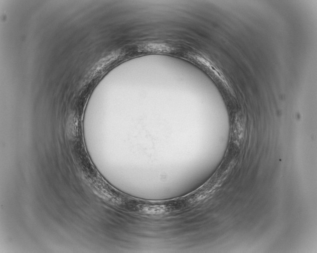X0000085830355200704091704