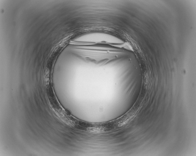 X0000085830356200704091704