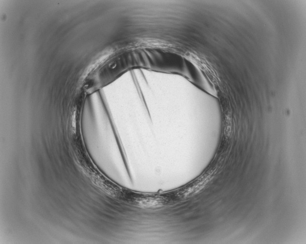 X0000085830358200704091704