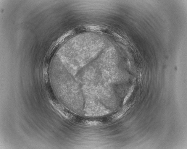 X0000085830360200704091704