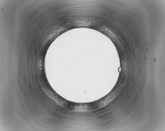 X0000085830362200704091704