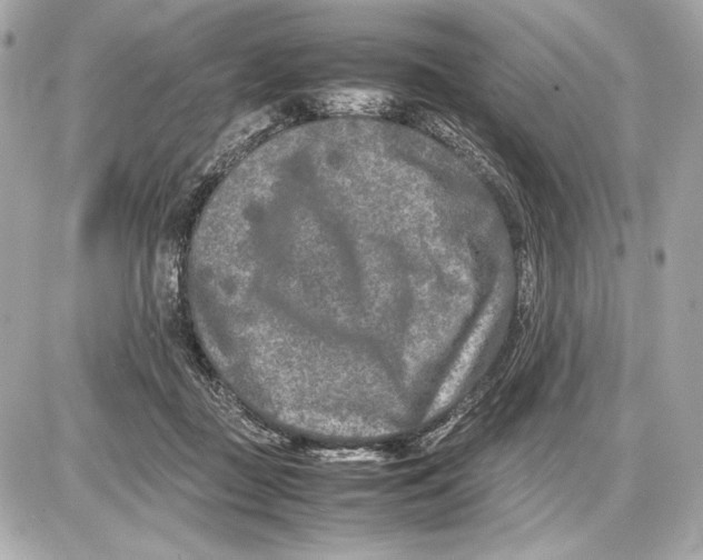 X0000085830363200704091704