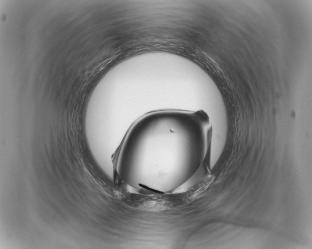 X0000085830364200704091704