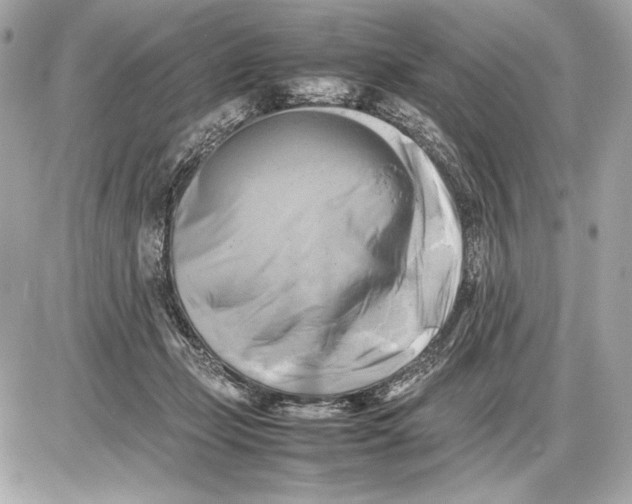 X0000085830365200704091704