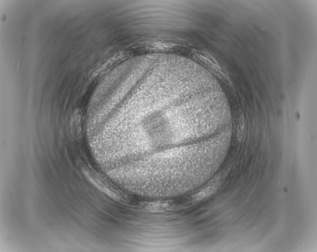 X0000085830366200704091704