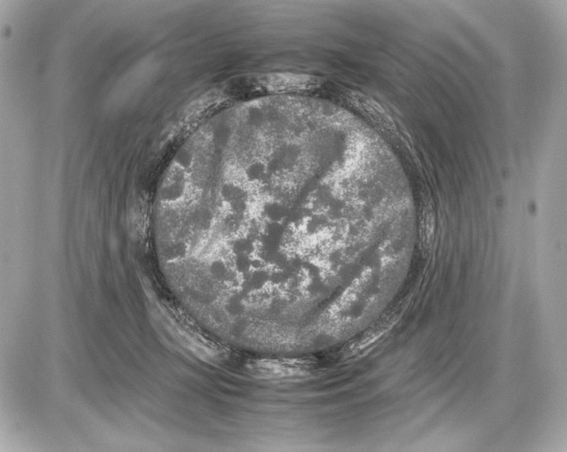 X0000085830367200704091704