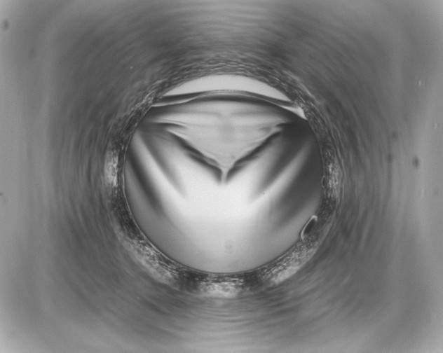 X0000085830368200704091704