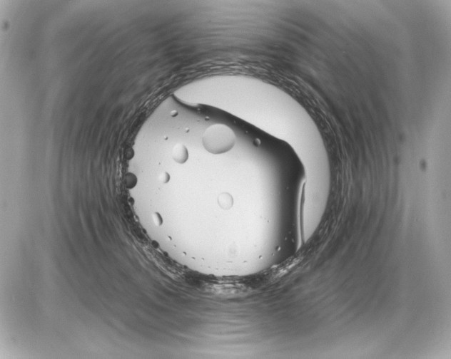 X0000085830372200704091704