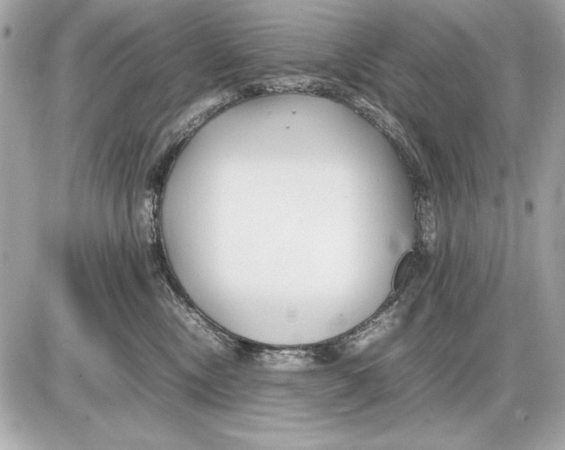 X0000085830378200704091704