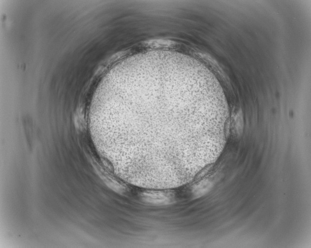X0000085830381200704091704