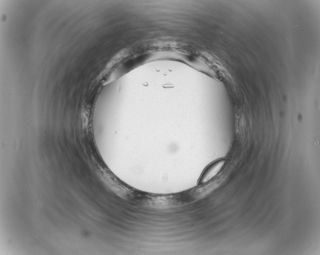 X0000085830382200704091704