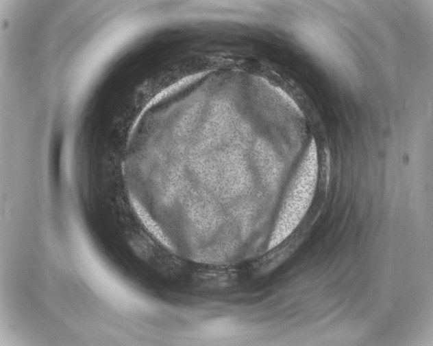 X0000085830383200704091704