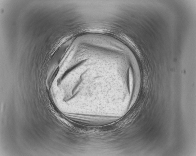 X0000085830385200704091703